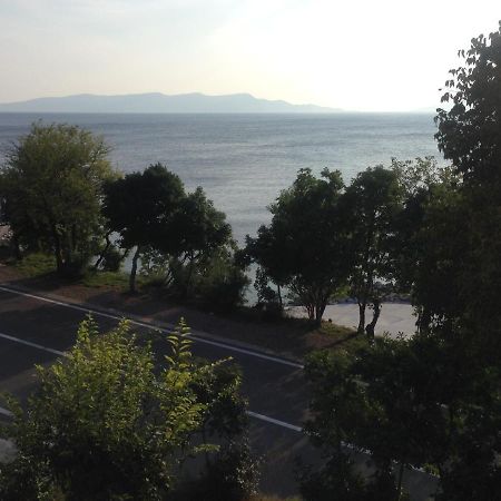 Apartment Marina Senj 센 외부 사진